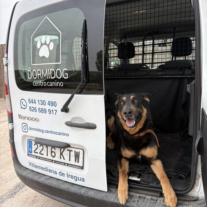 Furgoneta Dormidog con perro sonriente